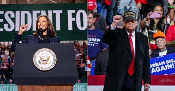 “Trump tired”, “Harris optimistic”, proliferation of post-it notes… The crazy end of the US presidential campaign