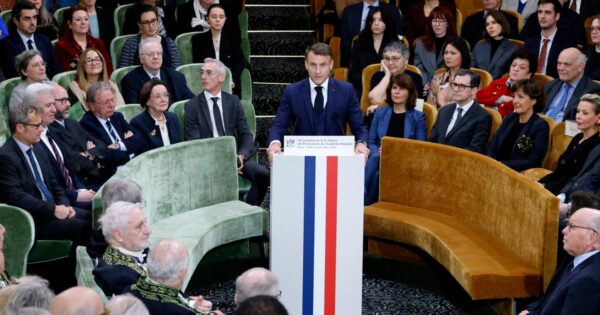 the Academy presents its work to Macron