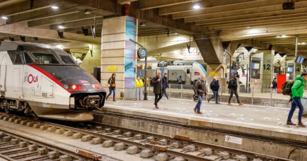 SNCF acquitted on appeal after cat crushed to death by train at Montparnasse station