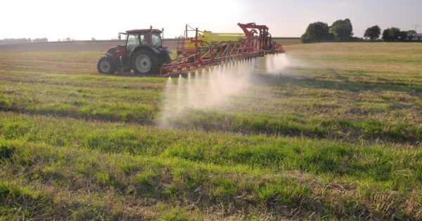 insufficient measures on pesticides, according to an interministerial report