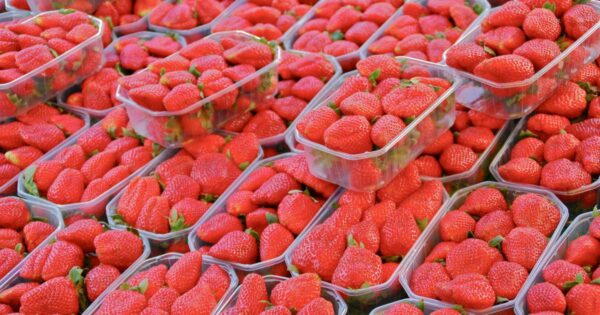 Why Intermarché won’t be offering strawberries and cherries this Christmas